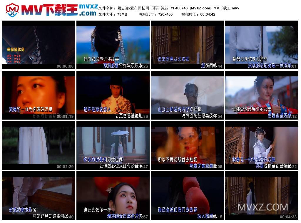 蔡志远-爱在回忆间_国语_流行_YF400746